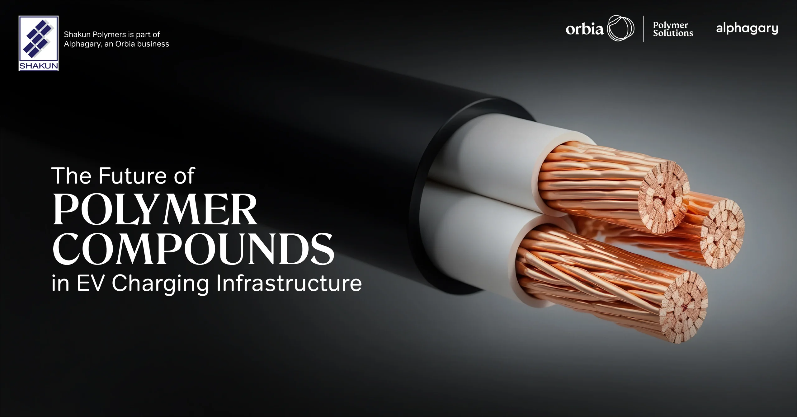 Polymer Compounds in EV Charging: Future Applications